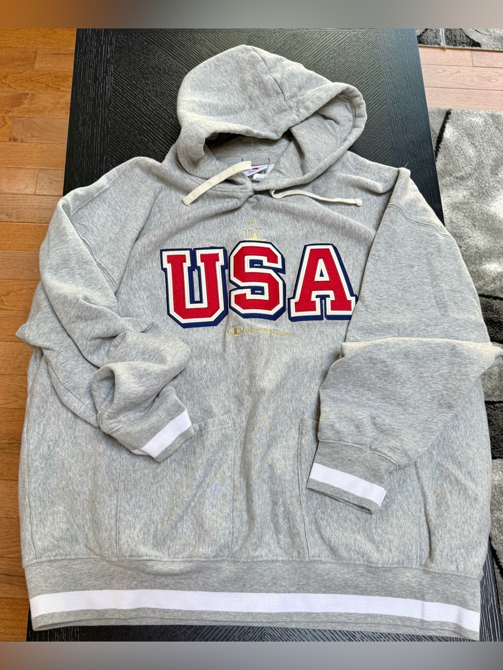 Champion USA Embroidered Logo Gray Hooded Sweatshirt.
